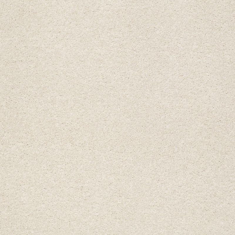Shaw Floors Nfa/Apg Subtle Charm I Champagne Toast (s)