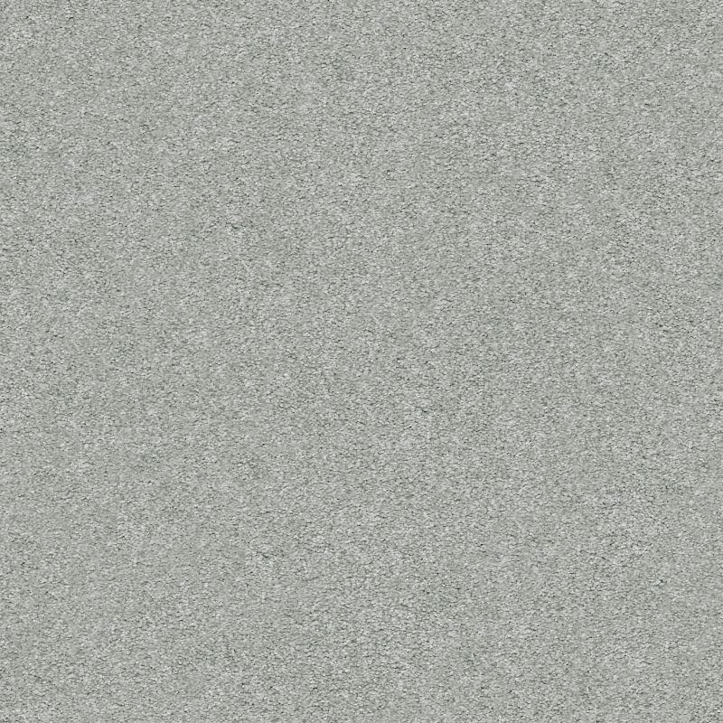 Shaw Floors Nfa/Apg Subtle Charm I Water's Edge (s)