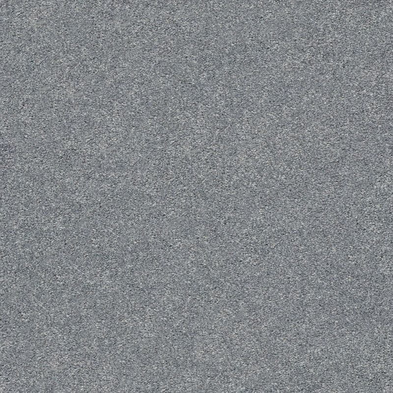 Shaw Floors Nfa/Apg Subtle Charm I Dolphin Sighting (s)