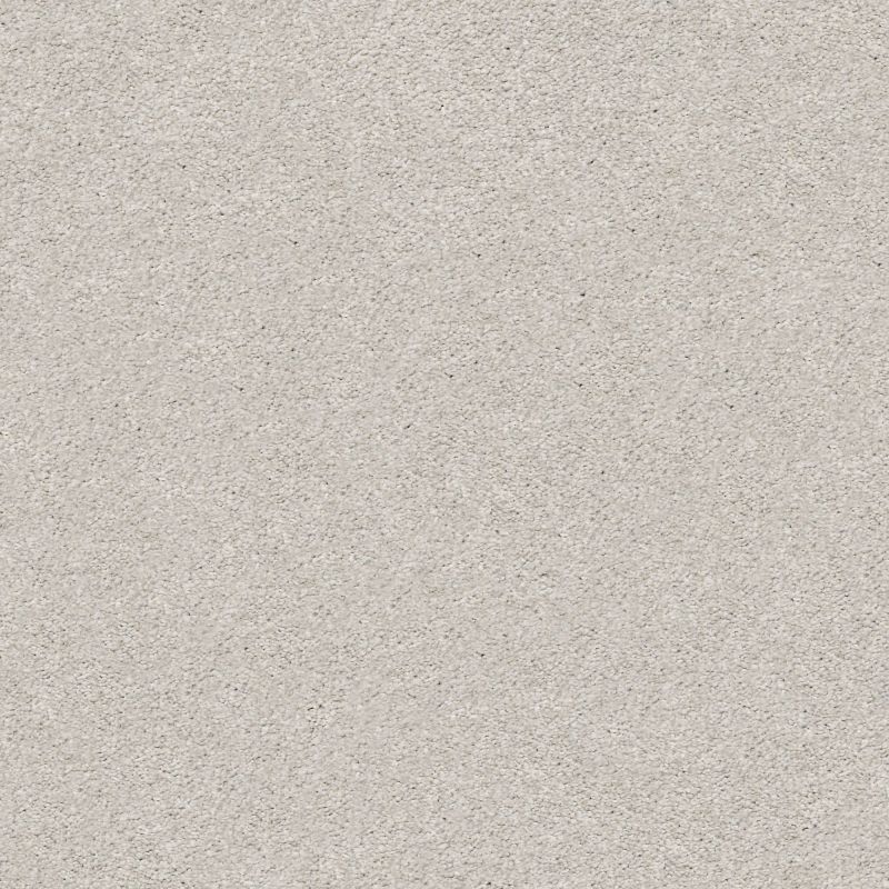 Shaw Floors Nfa/Apg Subtle Charm I Quiet Time (s)