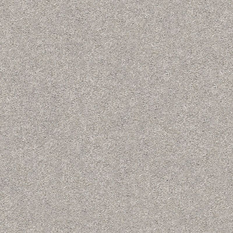 Shaw Floors Nfa/Apg Subtle Charm I Whisper (s)