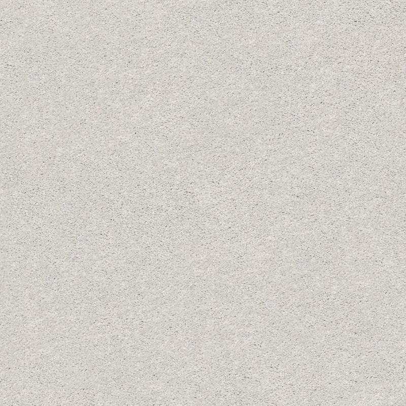 Shaw Floors Nfa/Apg Subtle Charm I Morning Dew (s)