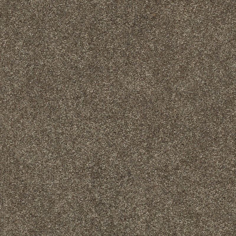 Shaw Floors Nfa/Apg Subtle Charm I Summer House (s)