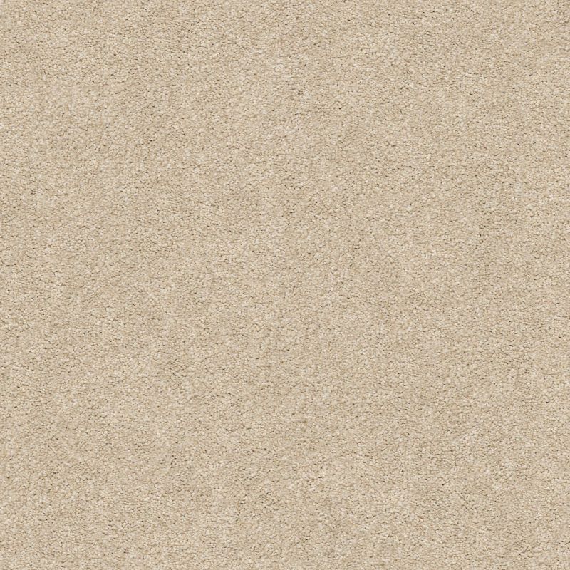 Shaw Floors Nfa/Apg Subtle Charm I Dinner With Friends (s)