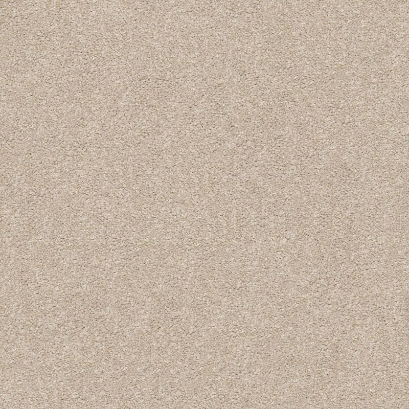 Shaw Floors Nfa/Apg Subtle Charm I My Haven (s)