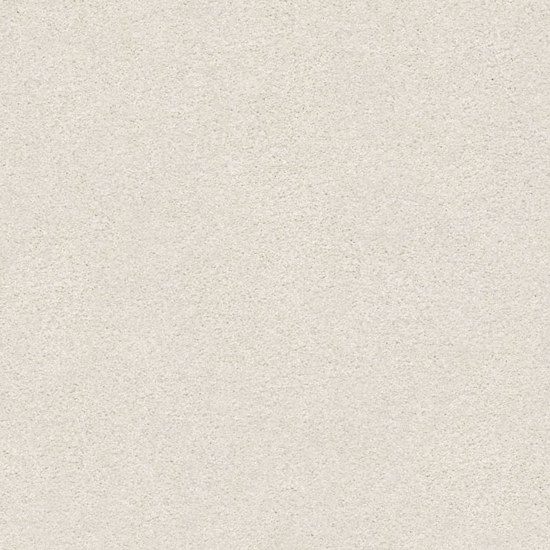 Shaw Floors Nfa/Apg Subtle Charm II Warm Blanket (s)