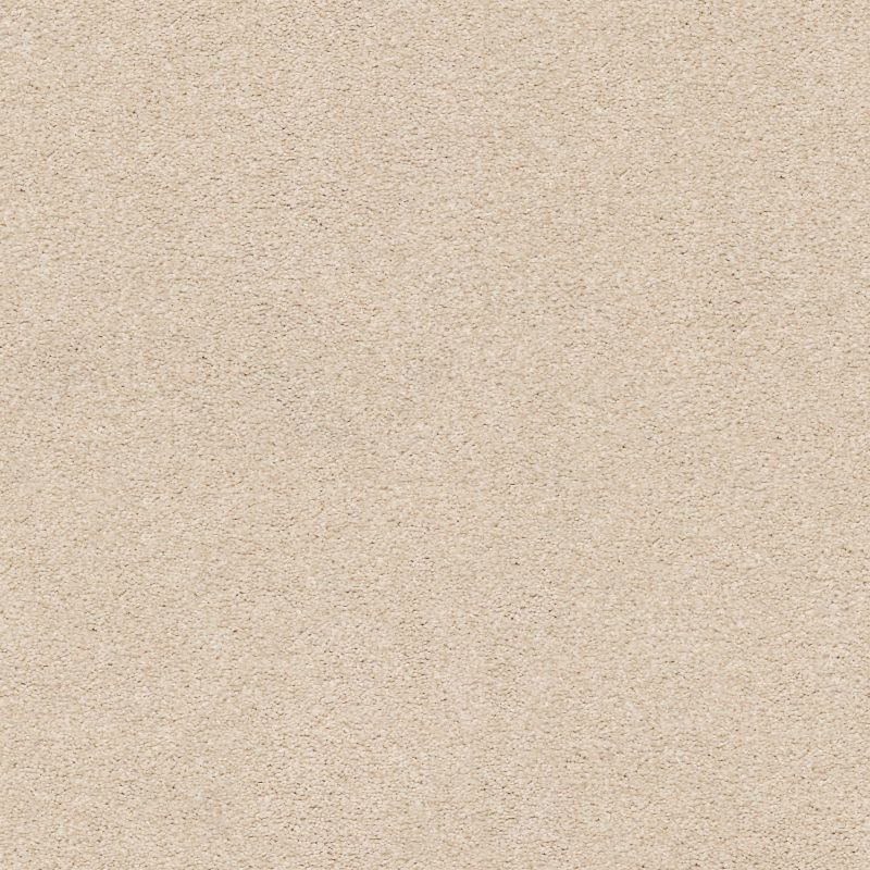 Shaw Floors Nfa/Apg Subtle Charm II Happy Place (s)