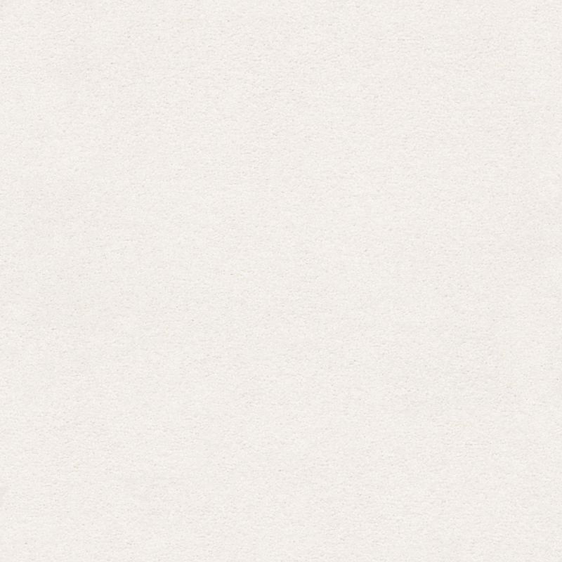 Shaw Floors Nfa/Apg Subtle Charm II Gallery Opening (s)