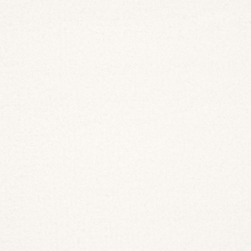 Shaw Floors Nfa/Apg Subtle Charm II Wedding Day (s)