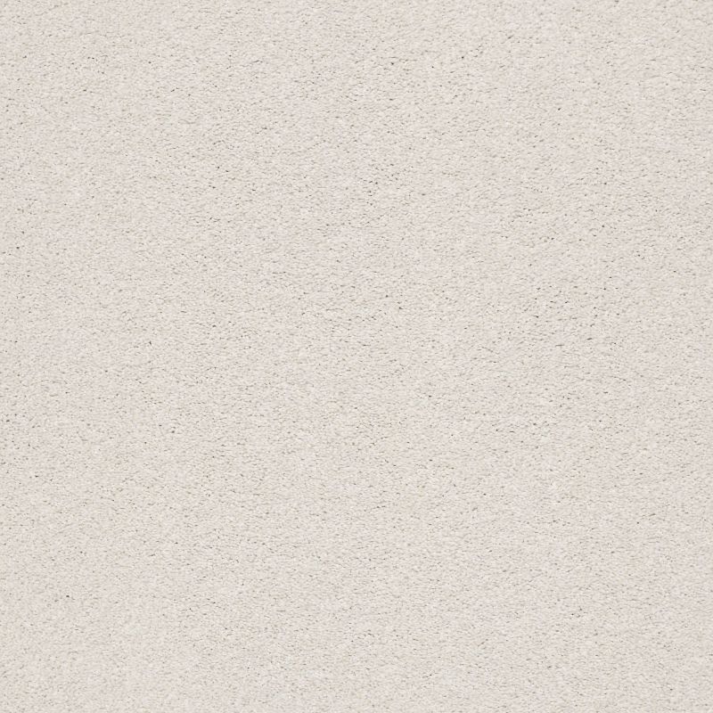 Shaw Floors Nfa/Apg Subtle Charm II Whitewashed Frame (s)