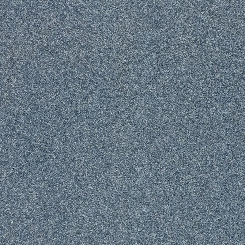 Shaw Floors Nfa/Apg Subtle Charm II Lakeside Retreat (s)