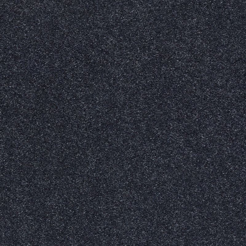 Shaw Floors Nfa/Apg Subtle Charm II Star Gazing (s)
