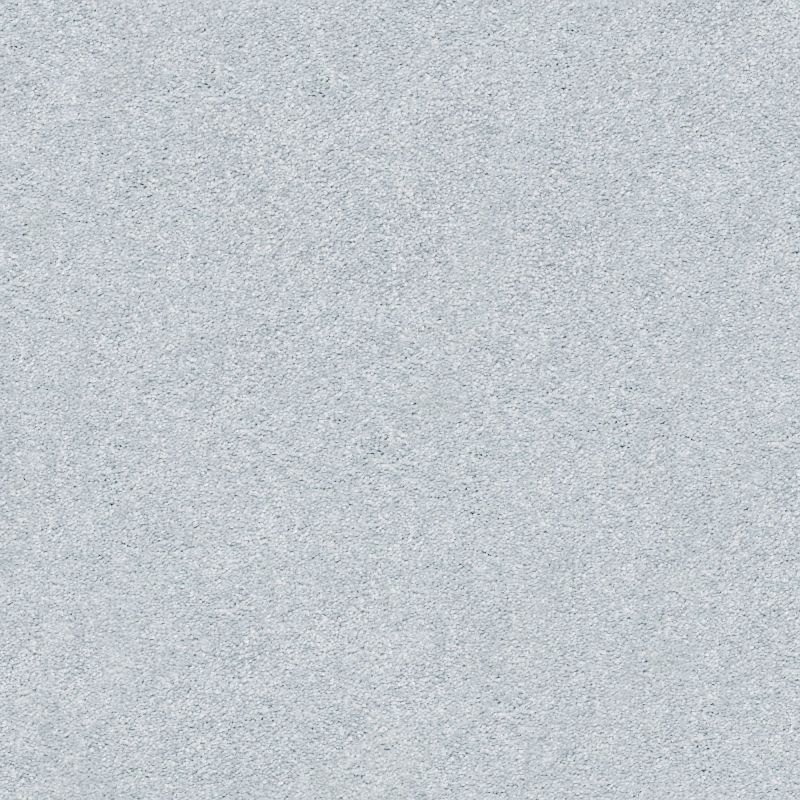 Shaw Floors Nfa/Apg Subtle Charm II Winter Sky (s)