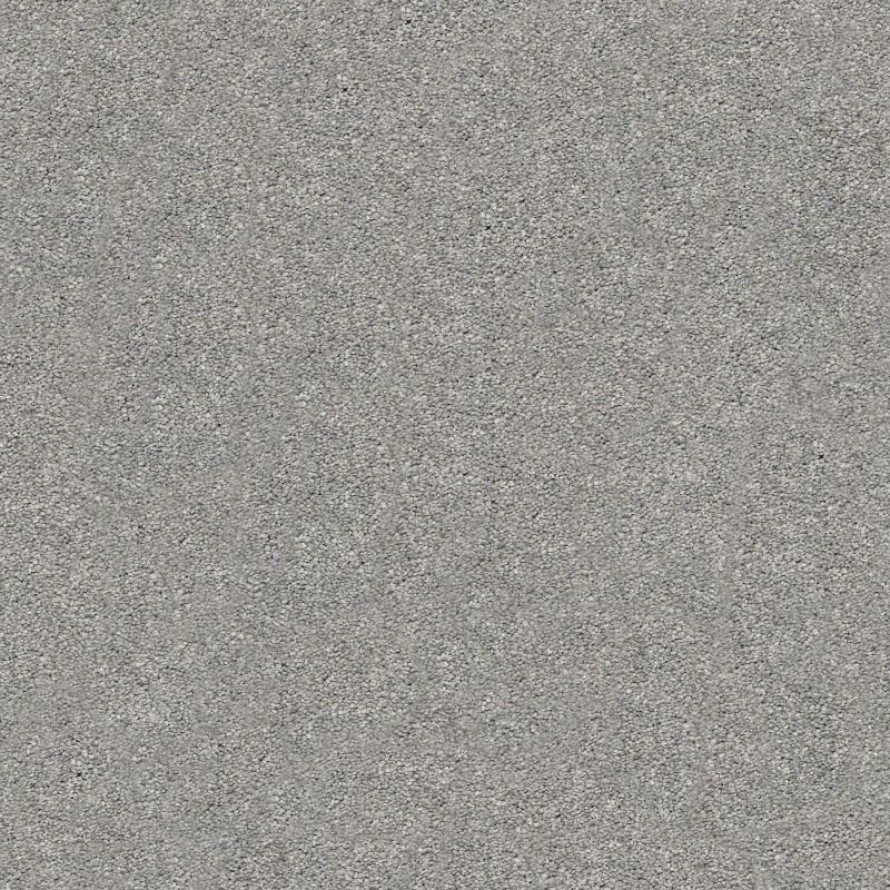 Shaw Floors Nfa/Apg Subtle Charm II Cool Breeze (s)