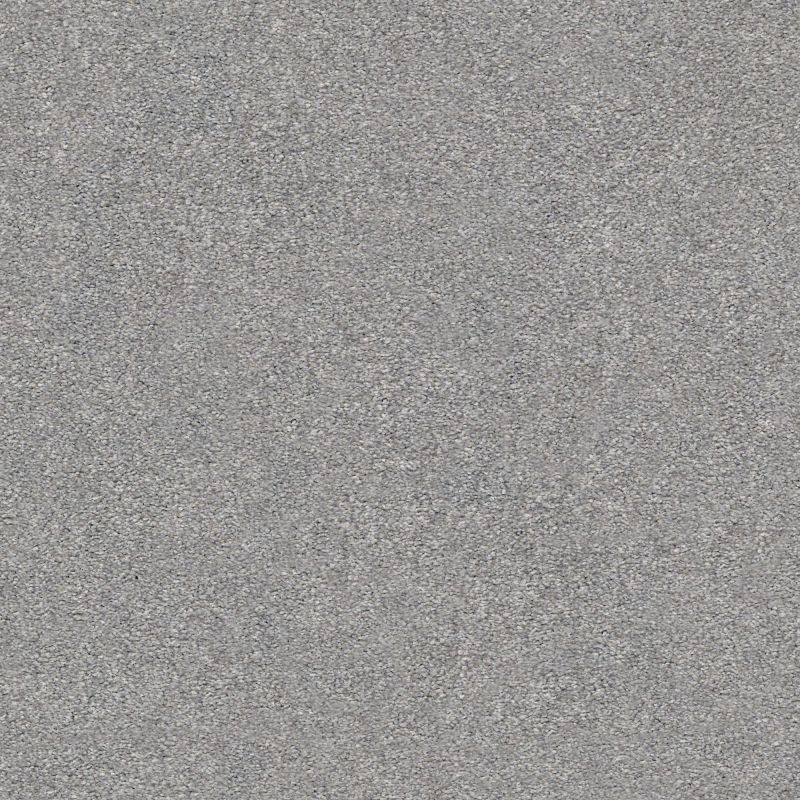 Shaw Floors Nfa/Apg Subtle Charm II Misty Rain (s)