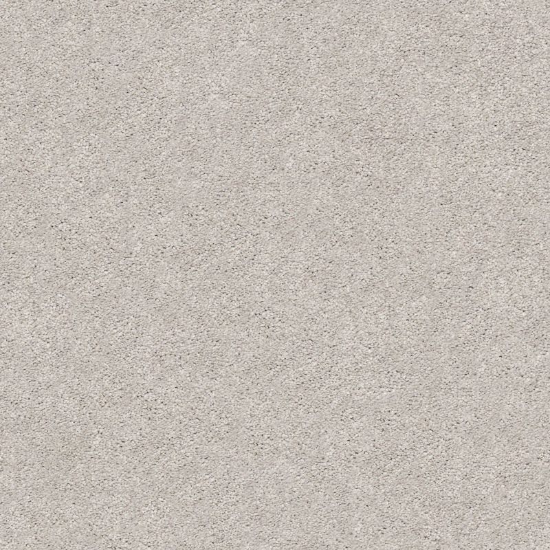 Shaw Floors Nfa/Apg Subtle Charm II Dreamy (s)