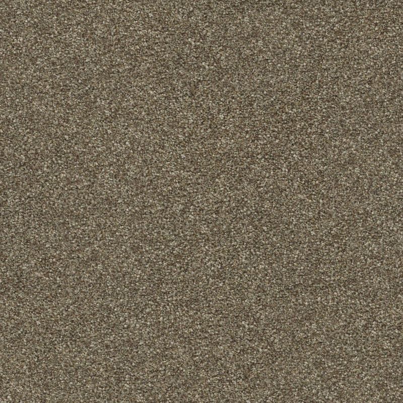 Shaw Floors Nfa/Apg Subtle Charm II Summer House (s)