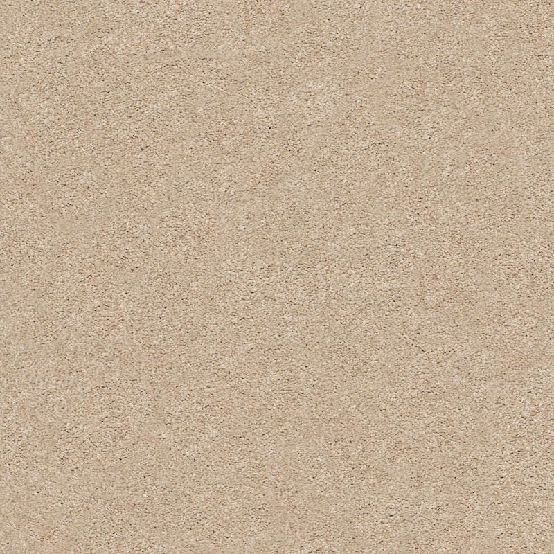Shaw Floors Nfa/Apg Subtle Charm II Walk On The Beach (s)