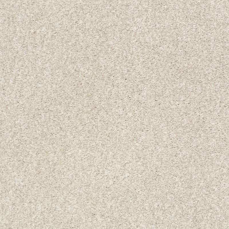 Shaw Floors Nfa/Apg Subtle Charm Tonal I Homemade Ice Cream (t)