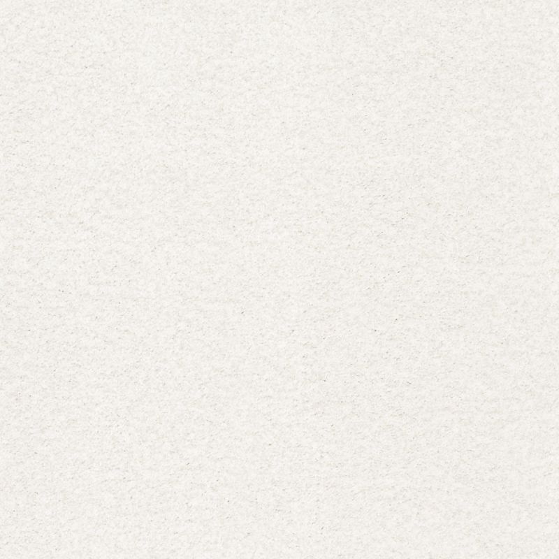 Shaw Floors Nfa/Apg Subtle Charm Tonal I Gallery Opening (t)