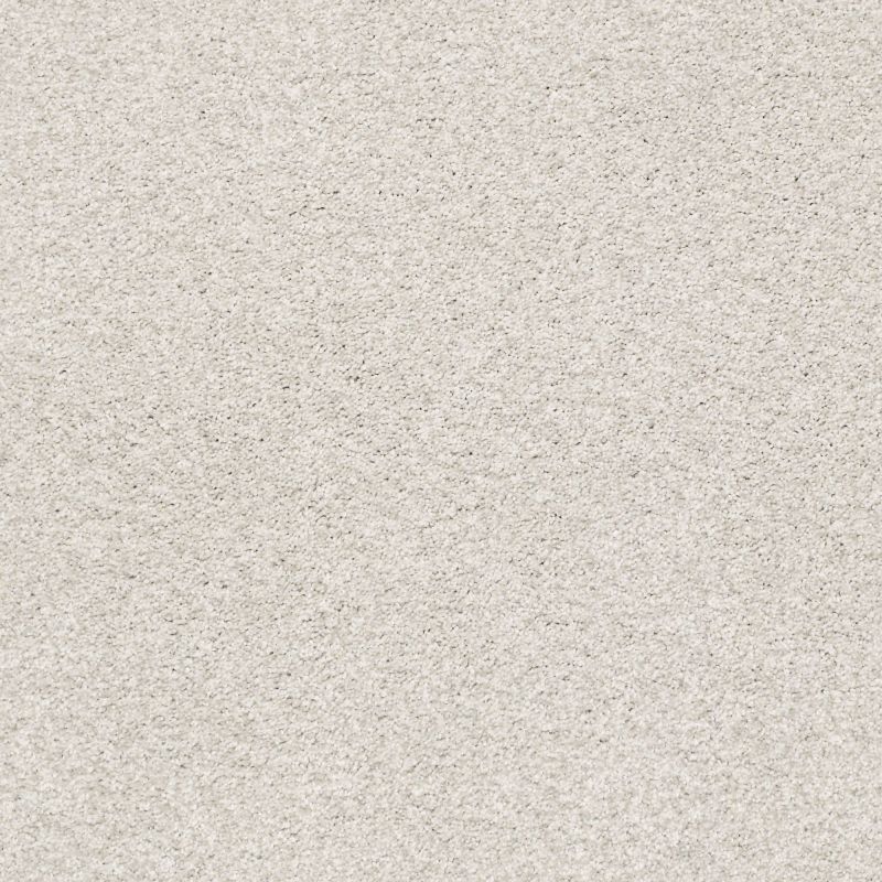 Shaw Floors Nfa/Apg Subtle Charm Tonal I Whitewashed Frame (t)