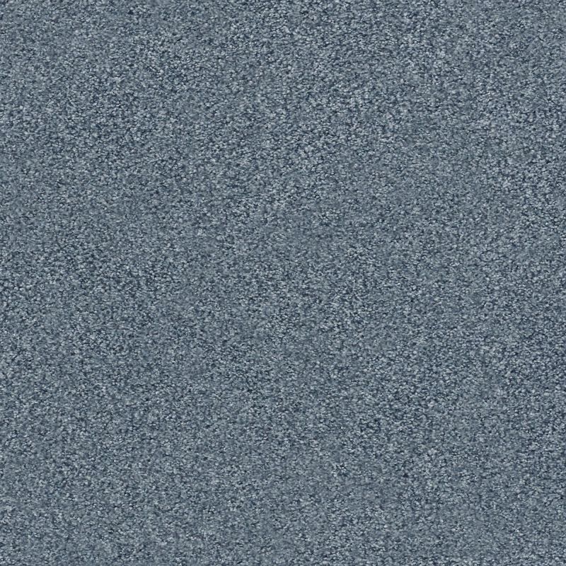 Shaw Floors Nfa/Apg Subtle Charm Tonal I Lakeside Retreat (t)