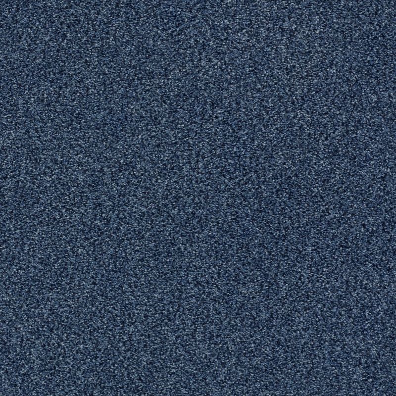 Shaw Floors Nfa/Apg Subtle Charm Tonal I River Boat Ride (t)