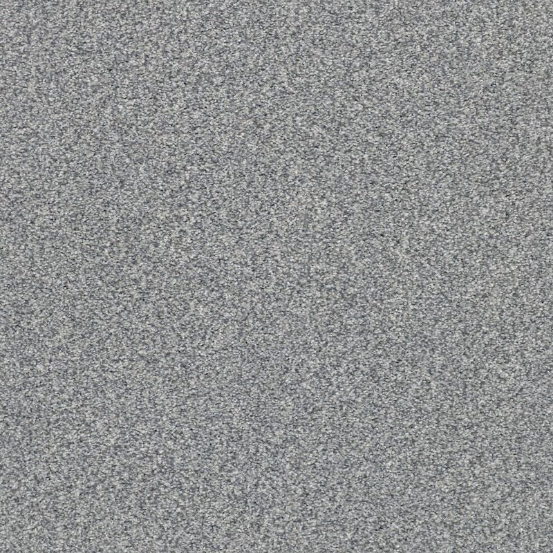 Shaw Floors Nfa/Apg Subtle Charm Tonal I Dolphin Sighting (t)
