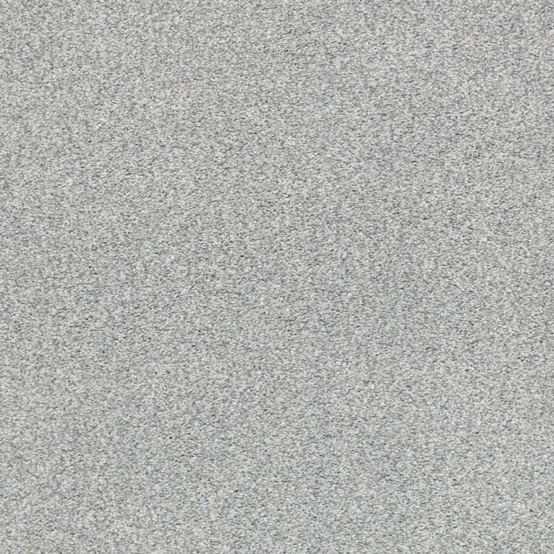 Shaw Floors Nfa/Apg Subtle Charm Tonal I Polished Silver (t)