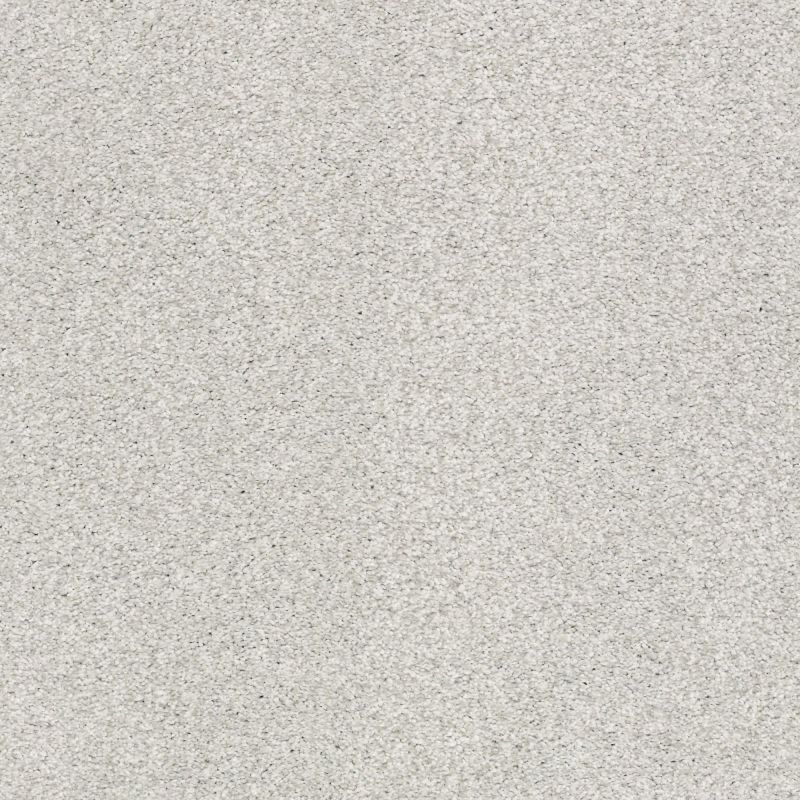 Shaw Floors Nfa/Apg Subtle Charm Tonal I Morning Dew (t)