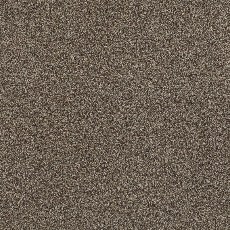 Shaw Floors Nfa/Apg Subtle Charm Tonal I Summer House (t)