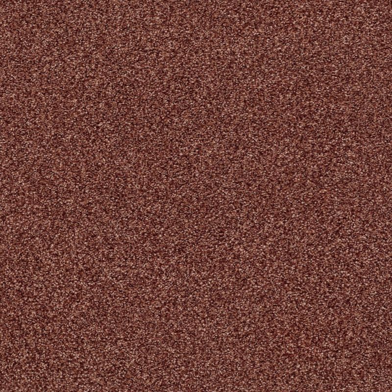 Shaw Floors Nfa/Apg Subtle Charm Tonal I Serene Sunset (t)