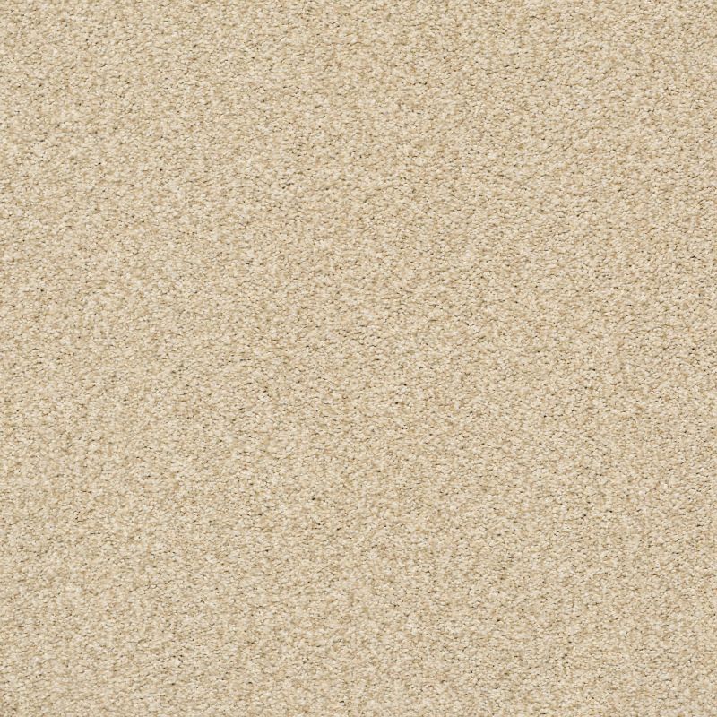 Shaw Floors Nfa/Apg Subtle Charm Tonal II Sun Kissed (t)