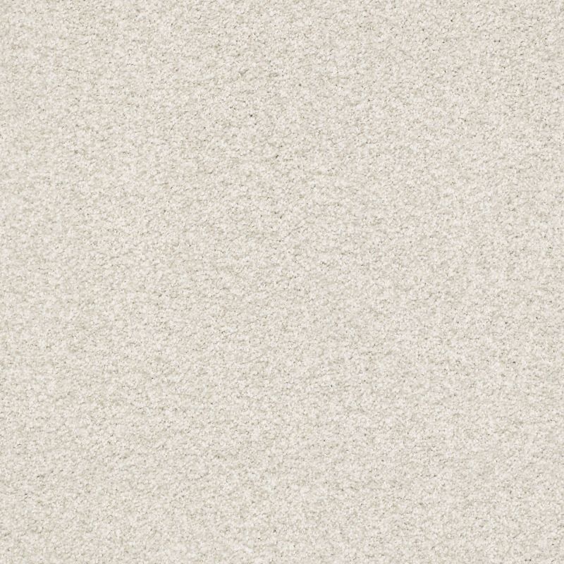 Shaw Floors Nfa/Apg Subtle Charm Tonal II Warm Blanket (t)