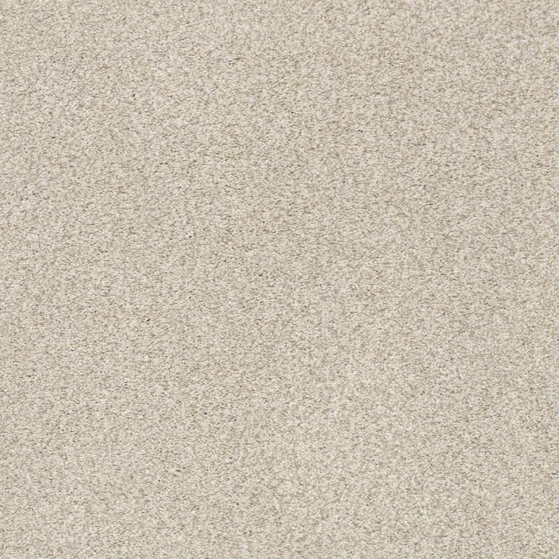 Shaw Floors Nfa/Apg Subtle Charm Tonal II Sand Castle (t)