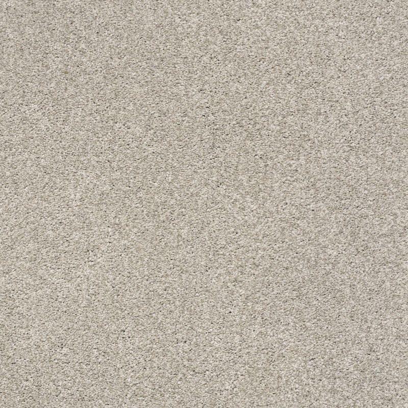 Shaw Floors Nfa/Apg Subtle Charm Tonal II Shoreline Haze (t)