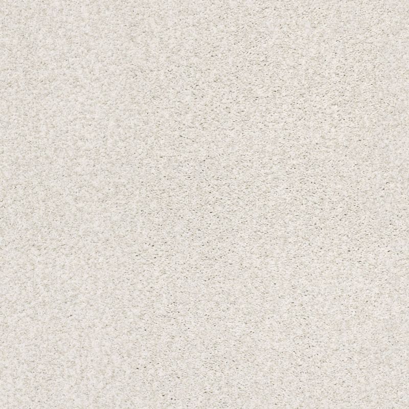 Shaw Floors Nfa/Apg Subtle Charm Tonal II Cake Frosting (t)