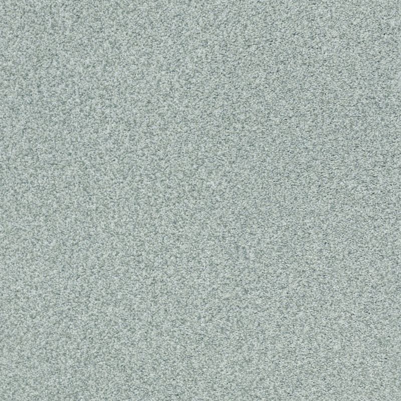 Shaw Floors Nfa/Apg Subtle Charm Tonal II Distant Valley (t)