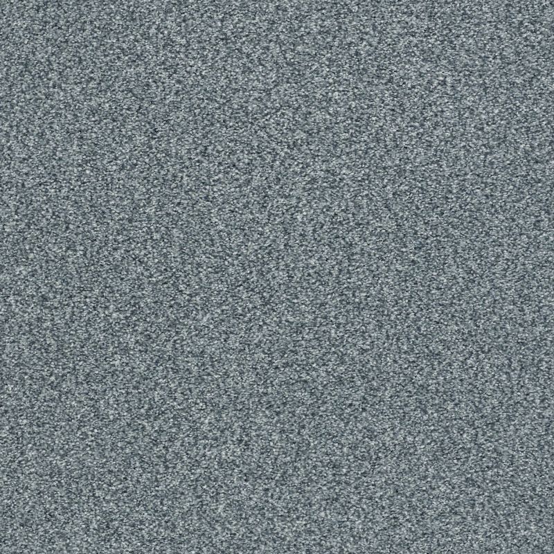 Shaw Floors Nfa/Apg Subtle Charm Tonal II Tropical Hideaway (t)