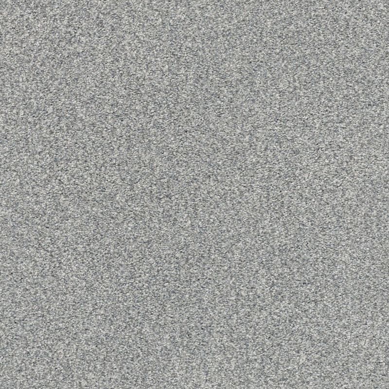 Shaw Floors Nfa/Apg Subtle Charm Tonal II Misty Rain (t)