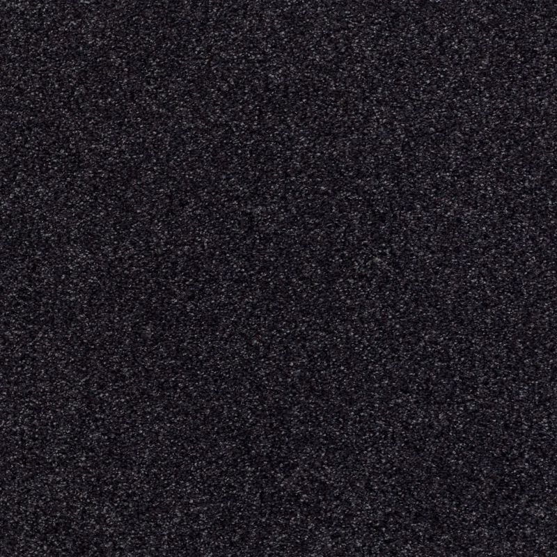 Shaw Floors Nfa/Apg Subtle Charm Tonal II Movie Night (t)