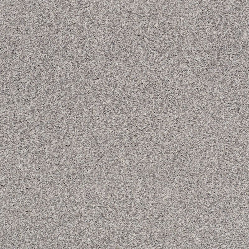 Shaw Floors Nfa/Apg Subtle Charm Tonal II Whisper (t)