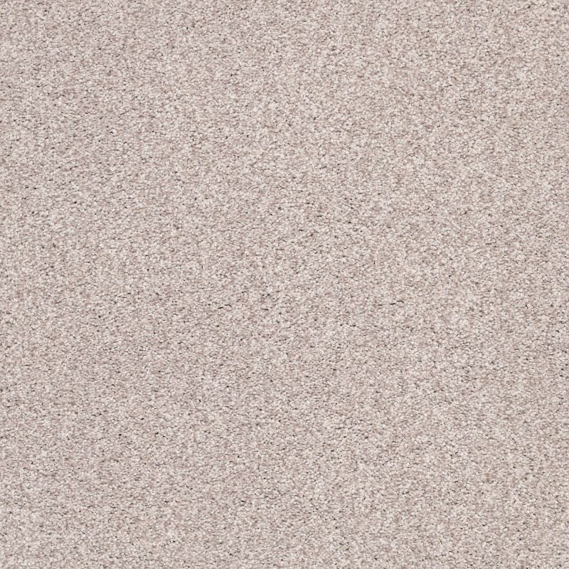 Shaw Floors Nfa/Apg Subtle Charm Tonal II Evening In Paris (t)