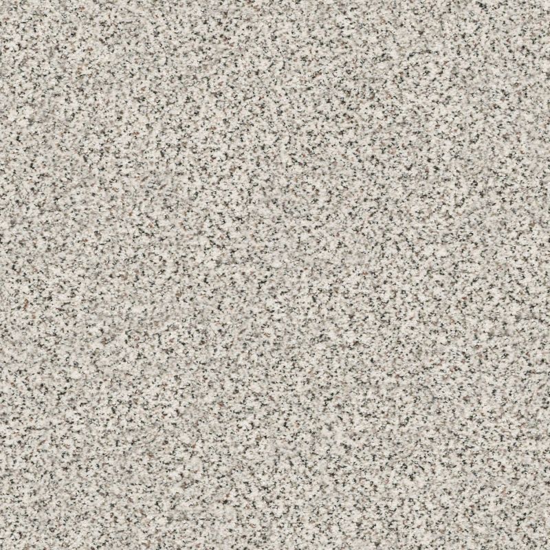 Shaw Floors Nfa/Apg Subtle Charm Accent I Glam Up (a)