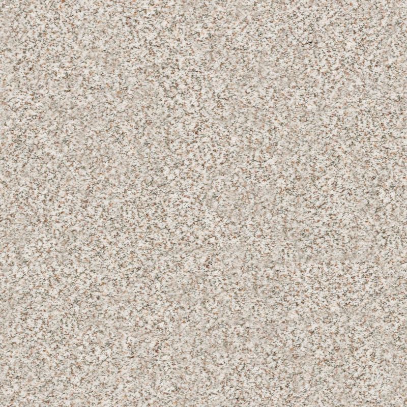 Shaw Floors Nfa/Apg Subtle Charm Accent I Let's Go Karaoke (a)