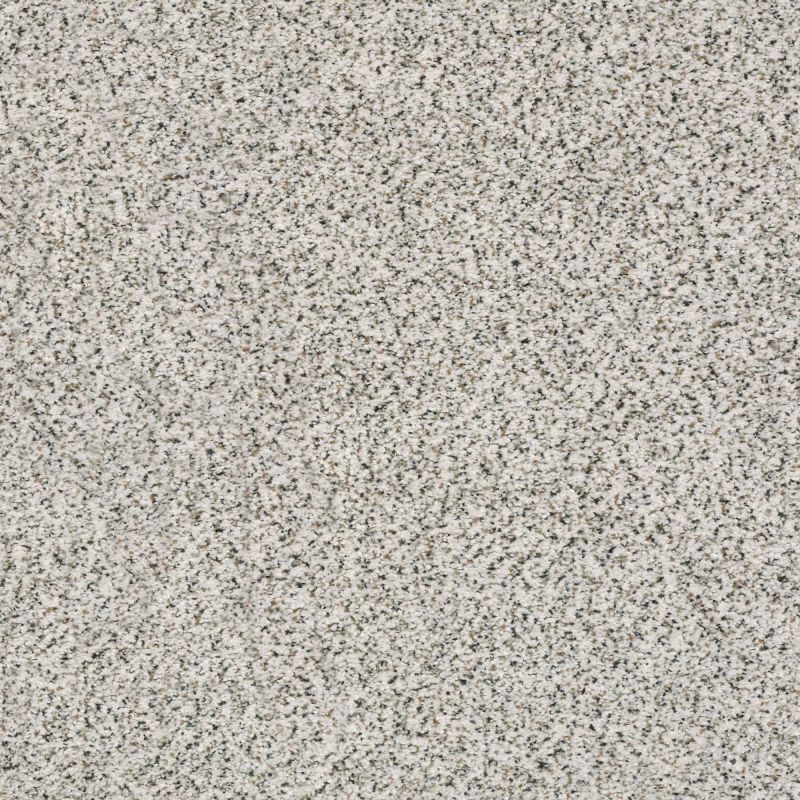 Shaw Floors Nfa/Apg Subtle Charm Accent II Great Mood (a)