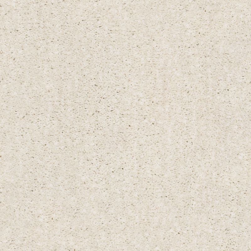 Shaw Floors Nfa/Apg Elation Awaken