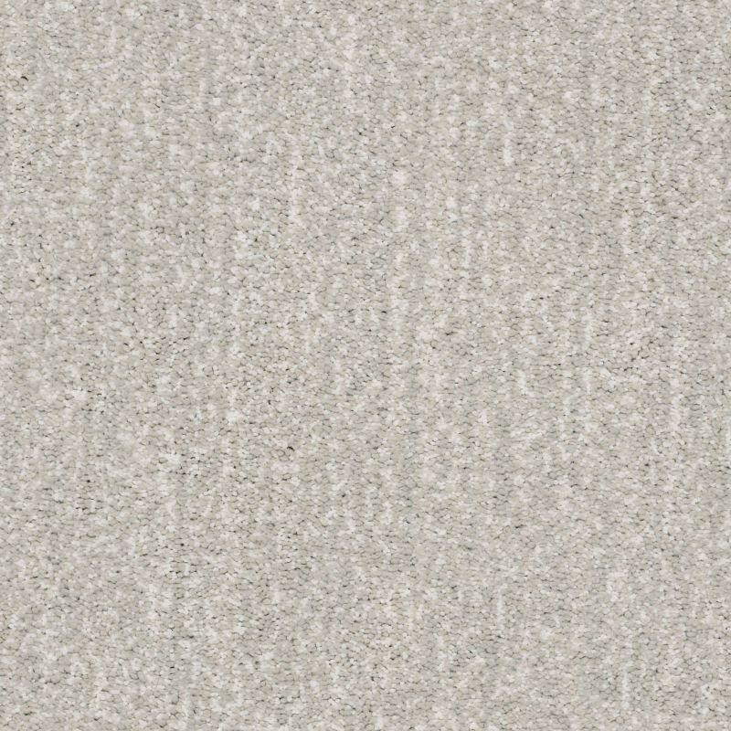 Shaw Floors Nfa/Apg Elation Gradient