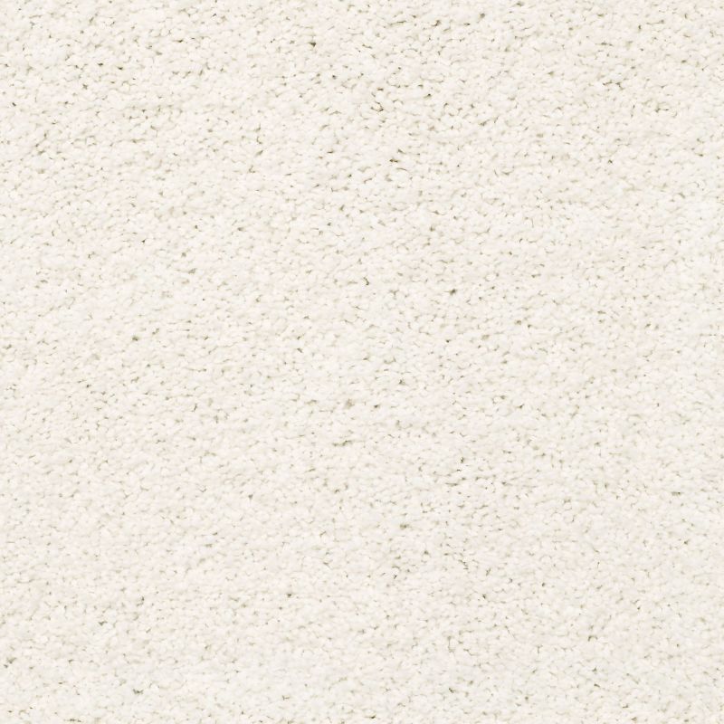 Shaw Floors Nfa/Apg Subtle Sensation Calm