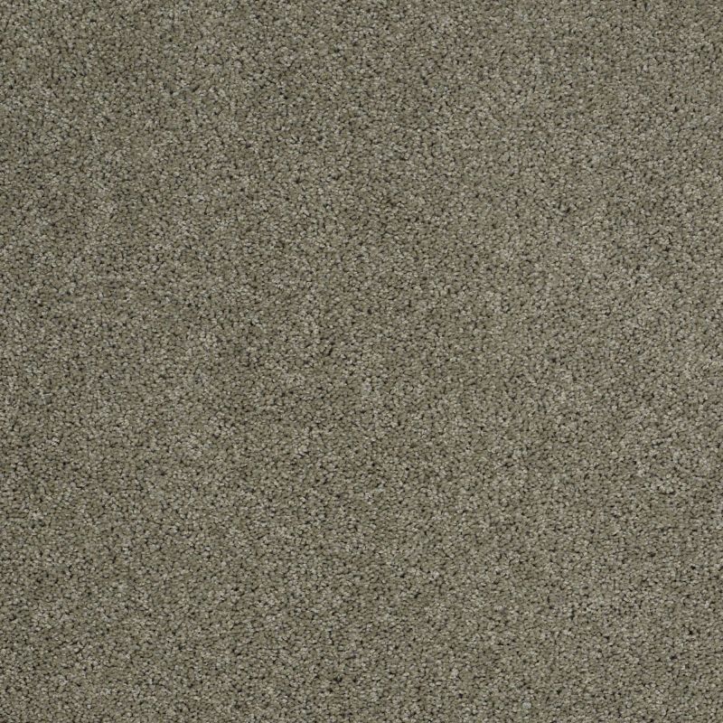 Shaw Floors Nfa/Apg Phenomenal Silver Sage